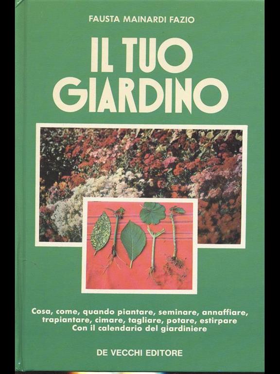 Libraccio