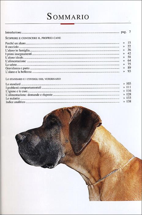 Alano - 6