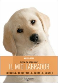 Libraccio