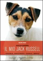 Il jack russell