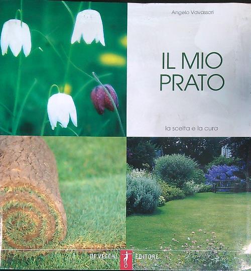 Libro di Faccia