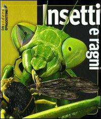Insetti e ragni - Noel Tait - copertina