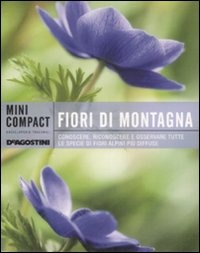 Libraccio