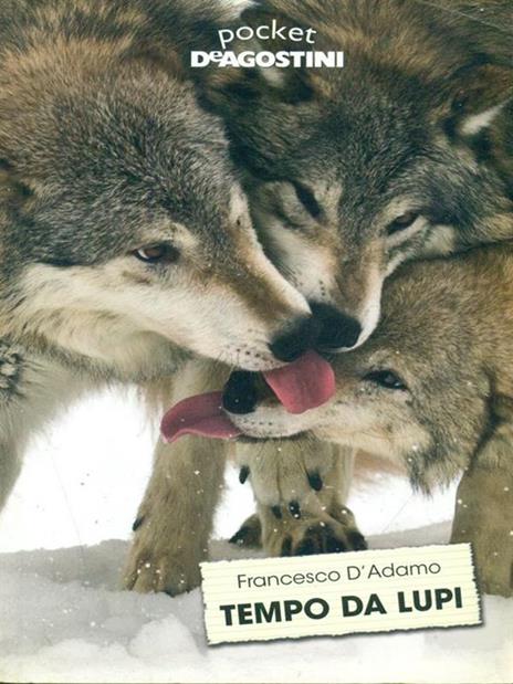 Tempo da lupi - Francesco D'Adamo - 3