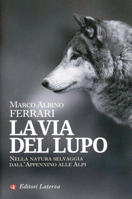 La via del lupo. Nella natura selvaggia dall'Appennino alle Alpi - Marco Albino Ferrari - copertina