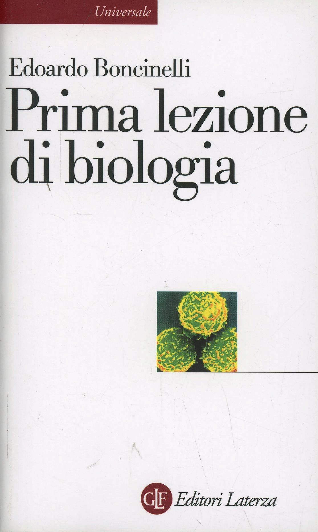 ibs