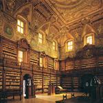 Il fascino delle biblioteche. Ediz. illustrata