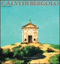 Calvi di Bergolo - Florian Rodari - copertina