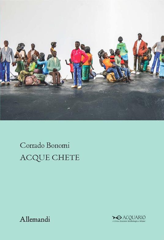 Corrado Bonomi. Acque chete. Ediz. a colori - copertina