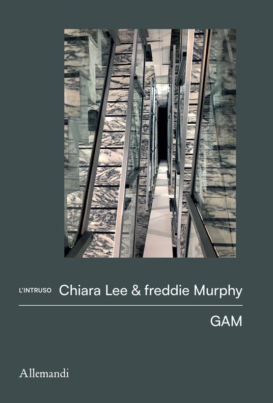 I quaderni dell'intruso. Chiara Lee & freddie Murphy. Ediz. illustrata - copertina