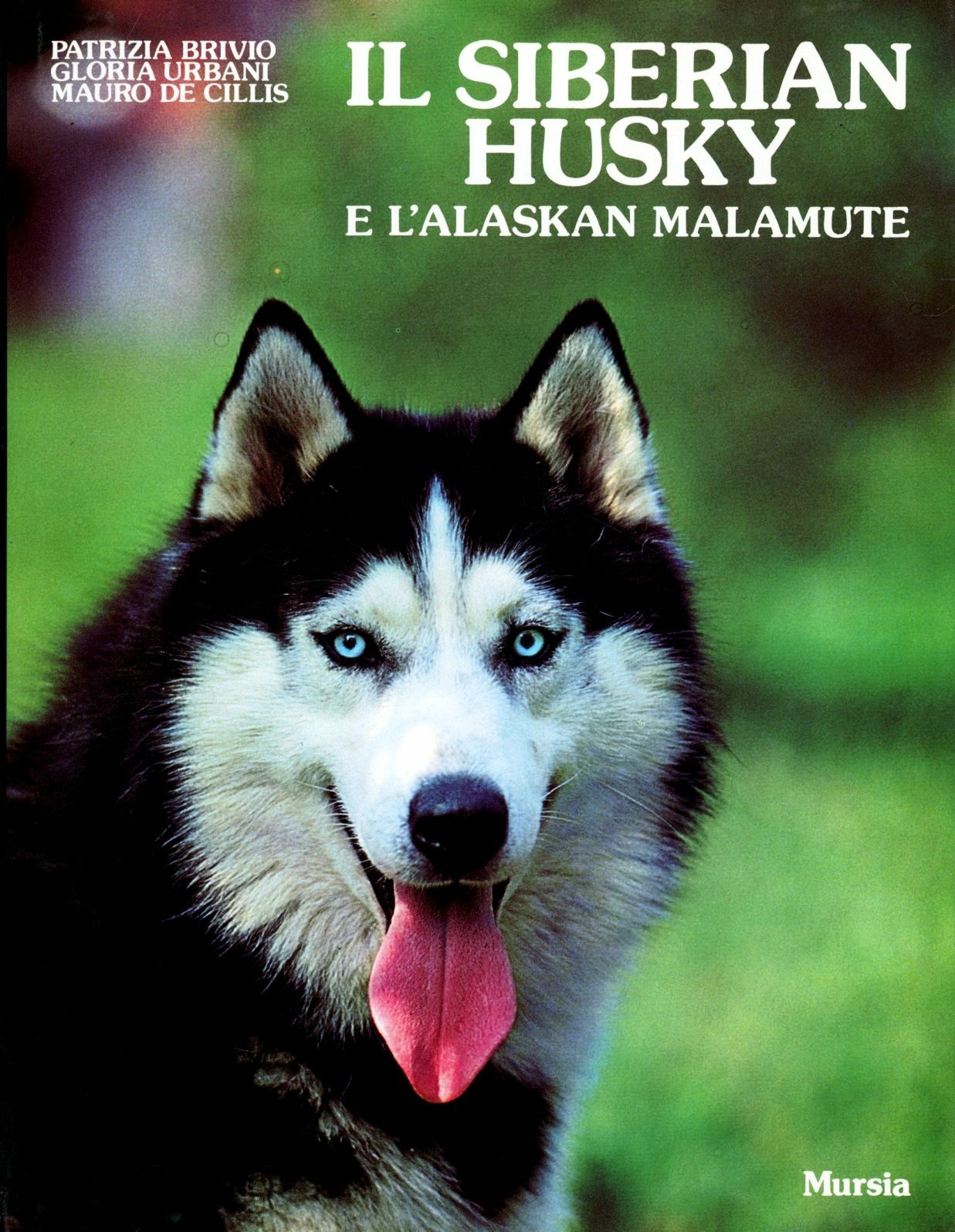 Libreria Postumia