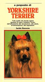 Yorkshire terrier