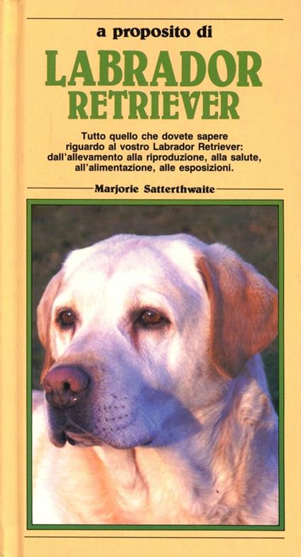 Labrador retriever - Marjorie Satterthwaite - copertina