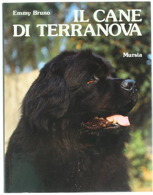 Bergoglio Libri d'Epoca Snc