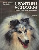 I pastori scozzesi. Collies, shetland, welsh corgi