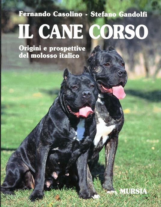 Il cane corso. Origini e prospettive del molosso italico - Fernando Casolino,Stefano Gandolfi - copertina