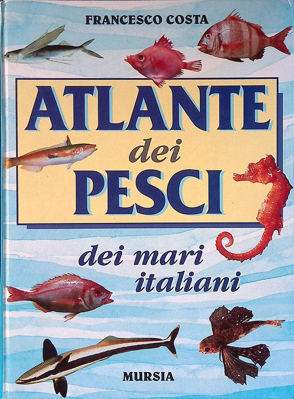 Folignolibri