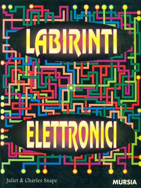 Labirinti elettronici - Juliet Snape,Charles Snape - copertina