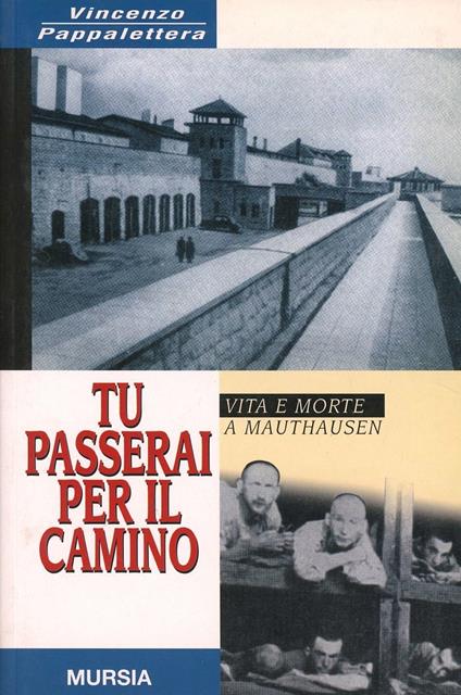 Tu passerai per il camino - Vincenzo Pappalettera - copertina