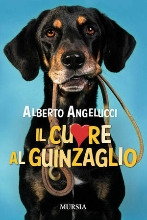 Fozzi Libri