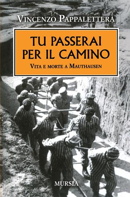 Tu passerai per il camino. Vita e morte a Mauthausen - Vincenzo Pappalettera - copertina