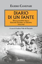 Diario di un fante. Dallo scoppio della grande guerra a Caporetto. 1914-1918