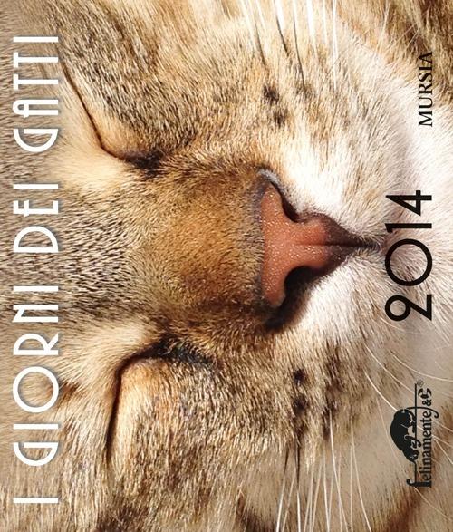 I giorni dei gatti 2014- Calendario da tavolo - copertina