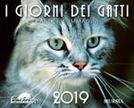 I giorni dei gatti. Calendario 2019