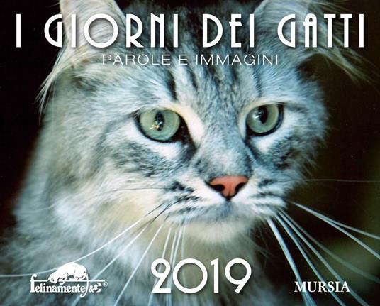 I giorni dei gatti. Calendario 2019 - copertina