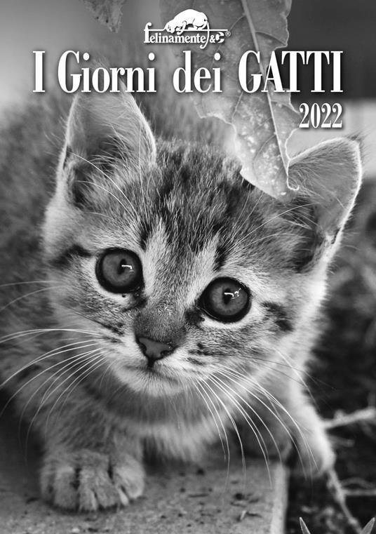 I giorni dei gatti. Agenda 2022 - copertina