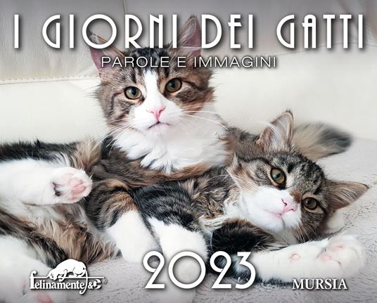 I giorni dei gatti. Calendario 2023 - copertina