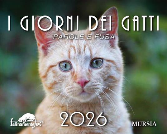 I giorni dei gatti. Calendario 2026 - copertina