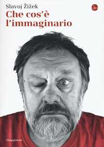 Libro Che cos'è l'immaginario Slavoj Zizek