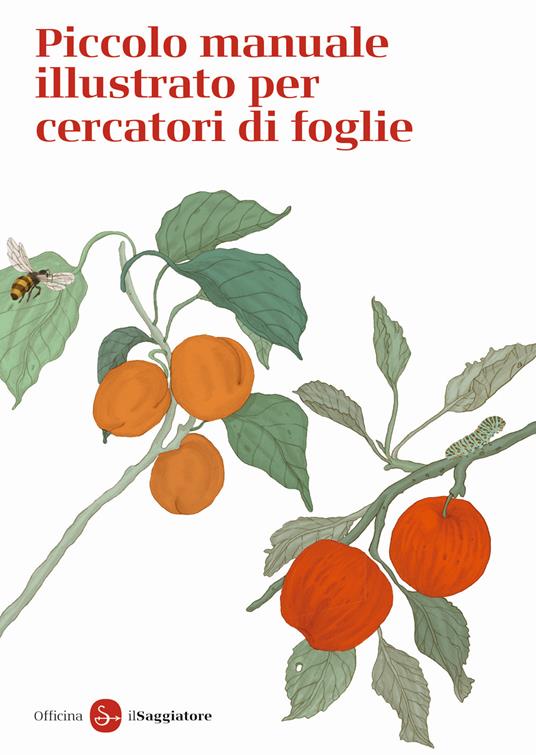 Piccolo manuale illustrato per cercatori di foglie. Ediz. a colori - Officina Saggiatore - copertina