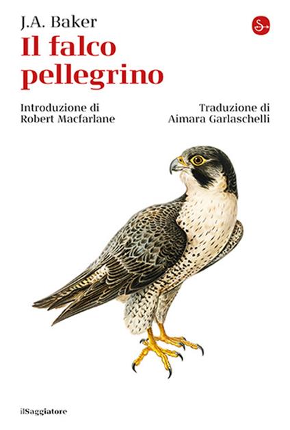 Il falco pellegrino - John Alec Baker - copertina