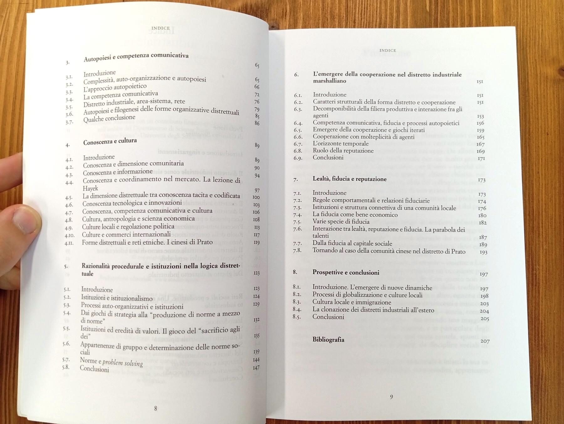 Il distretto industriale marshalliano tra cognizione e istituzioni