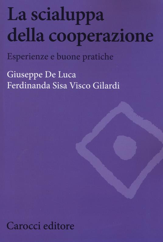 La scialuppa della cooperazione. Esperienze e buone pratiche -  Giuseppe De Luca, Ferdinanda S. Visco Gilardi - copertina