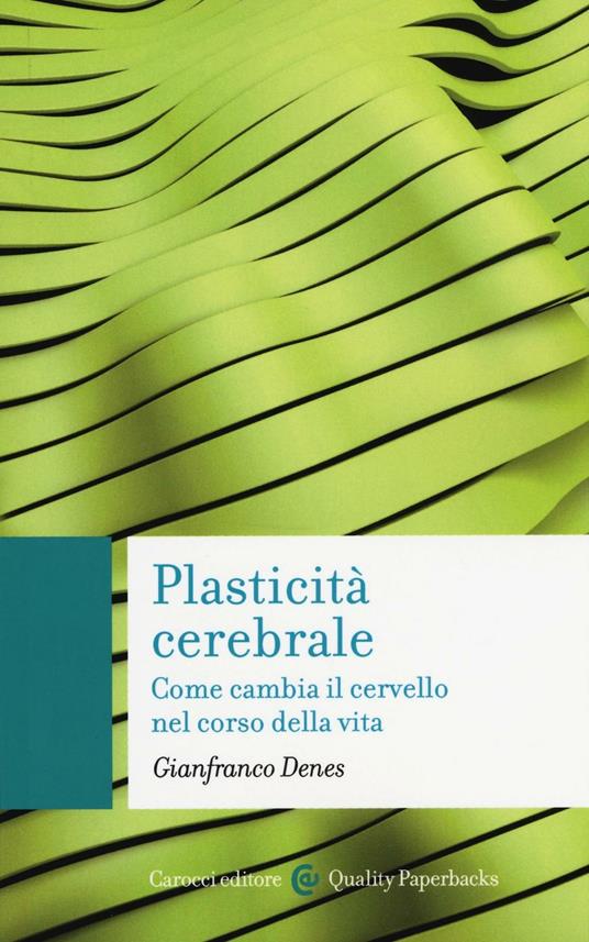 Plasticità cerebrale. Come cambia il cervello nel corso della vita - Gianfranco Denes - copertina