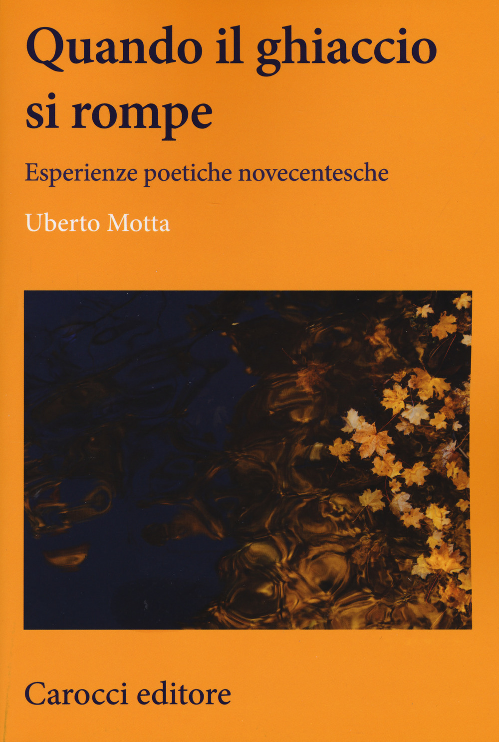 Libraccio