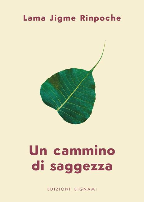 Un cammino di saggezza - Jigme Rinpoche - copertina