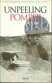 Sotto i lapilli. Studi nella Regio I di Pompei. Ediz. inglese