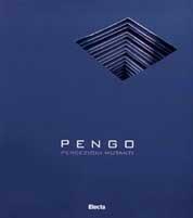 Pengo. Percezioni mutanti. Catalogo della mostra (Padova, 24 gennaio-7 marzo 1999; Parigi, 16 marzo-6 aprile 1999) - copertina