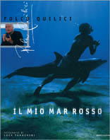 Piazza del Libro