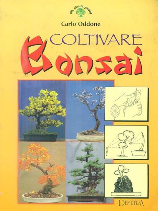 Coltivare bonsai - 2
