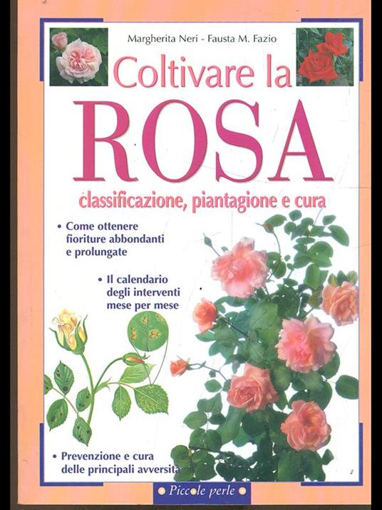 Coltivare la rosa. Classificazione, piantagione e cura - Margherita Neri,Fausta Mainardi Fazio - copertina