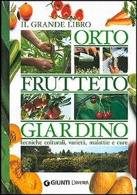 Libraccio