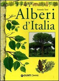 Alberi d'Italia - Antonio Testi - copertina