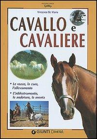 Cavallo e cavaliere - Vincenzo De Maria - copertina