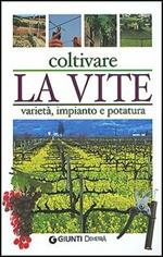 Coltivare la vite. Varietà, impianto e potatura