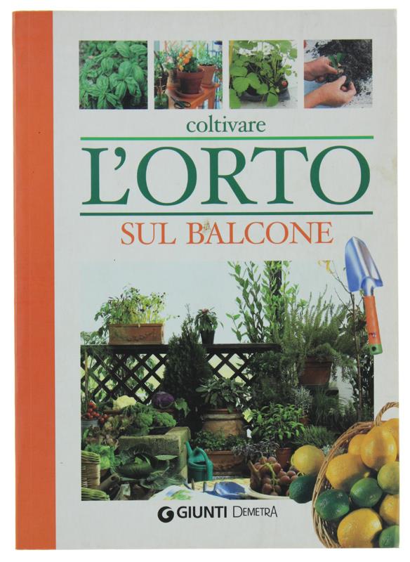 Bergoglio Libri d'Epoca Snc